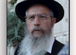 הרה"ג ישראל אריאל שליט"א